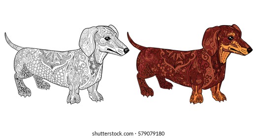 Decorative dachshund dog doodle illustration for adult coloring book with sample. 