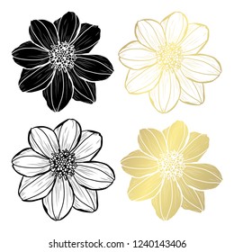 Decorative dahlia flowers, design elements. Can be used for cards, invitations, banners, posters, print design. Golden flowers