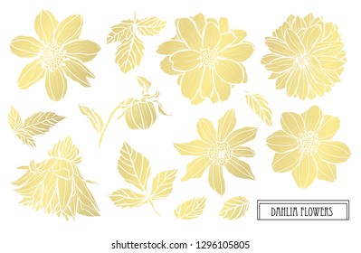 Decorative dahlia flowers, design elements. Can be used for cards, invitations, banners, posters, print design. Golden flowers