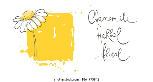 Días decorativas. Elemento de diseño vectorial, borde, marco de camomila.	
