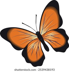 Decorative daisy botanical blossoms retro vintage style Vector illustration design for fashion, tee, t shirt, print, poster, graphic, background butterfly