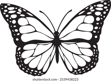 Decorative daisy botanical blossoms retro vintage style Vector illustration design for fashion, tee, t shirt, print, poster, graphic, background butterfly