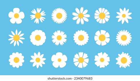 Decorative daisy flowers. Cartoon flat chamomiles. Different shapes and numbers of petals. Beautiful blooming plants. Spring flora. Floral elements. Garden botany. Garish