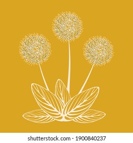 Decorative dandelion flowers light pink with striped leaves on a yellow background. Template for printing on pillows, covers, T-shirts, covers. Vector illustration.