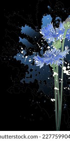 Decorative dark background with blue cornflowers. Card template design. Vector illustration.