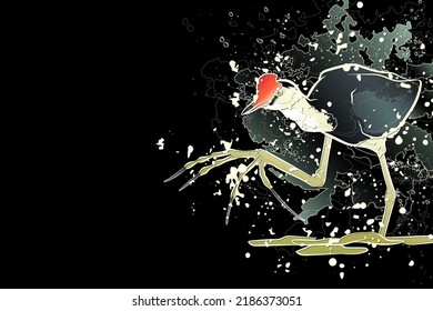 Decorative dark background with comb-crested jacana and splashes. Card template design. Vector illustration.