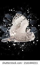 Decorative dark background with flying short-eared owl and splashes. Card template design. Vector illustration.