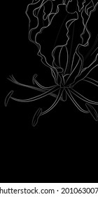 Dekorativer, dunkler Hintergrund mit glorioser Lilienblume. Kartenvorlagendesign. Vektorgrafik.