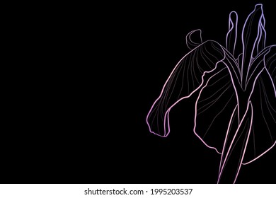 Fondo oscuro decorativo con flor de iris. Diseño de plantilla de tarjeta. Ilustración vectorial.