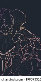 Decorative dark background with iris flowers. Card template design. Vector illustration.