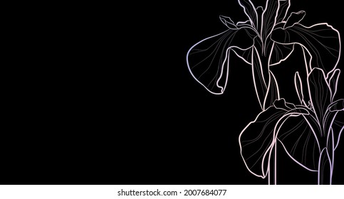 Decorative dark background with iris flowers. Card template design. Vector illustration.