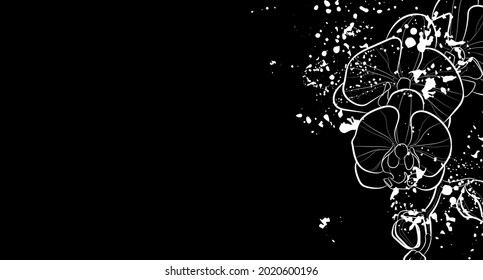 Decorative dark background with orchid flower. Card template design. Vector illustration.
