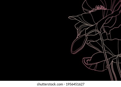 Fondo oscuro decorativo con flores de amapola. Diseño de plantilla de tarjeta. Ilustración vectorial.