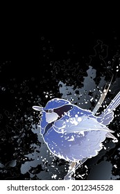 Decorative dark background with splendid fairywren (Malurus splendens). Card template design. Vector illustration.