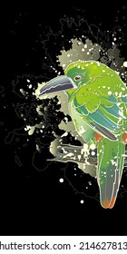 Decorative dark background with white-throated toucanet. Card template design. Vector illustration.