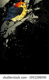 Decorative dark background with wire-tailed manakin (Pipra filicauda). Card template design. Vector illustration.