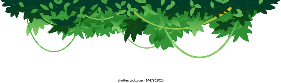 Decorative dense leaves of tropical trees with lianas placed on top isolated, decorative composition of jungle plants on one side, dense vegetation of the jungle, topical forest plants