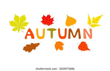 Composición de diseño decorativa con letras de otoño y hojas de ilustración plana vectorial. 