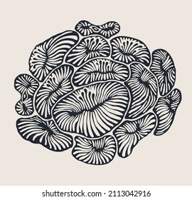 Decorative design element with hand drawn abstract floral pattern. Vector illustration