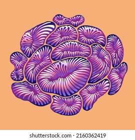 Elemento de diseño decorativo con patrón floral abstracto dibujado a mano. Ilustración del vector