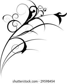 decorative design isolated on white