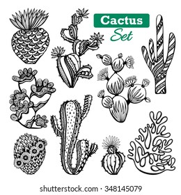 Decorative different types of cactus icons set with thorns black white sketch isolated vector illustration 