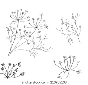 decorative dill plant on white background. Vector illustration. 