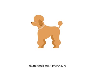 Decorative dog - French poodle in a collar. Dog icon or logo element.Vector illustration. Flat style. Standard breed design, side view. Cartoon character of a dog. Pet..