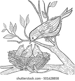 Decorative doodle bird and nest with chicks. Coloring book page for adults. Vector illustration.