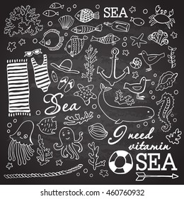Decorative Doodle marin set. Hand graphics. llustration for greeting cards, invitations, and other printing projects.