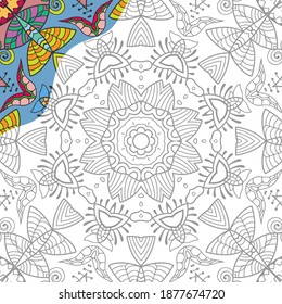 Decorative doodle pattern for coloring book. Hand drawn fantasy line art, floral geometric ornament for painting, coloring page. Tribal ethnic decoration. Black and white with sample of colors