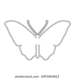 Decorative dotted outline of a winged insect butterfly. Vector graphics.