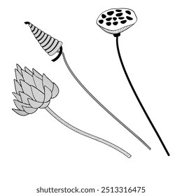 decorative dried flowers for floral arrangements