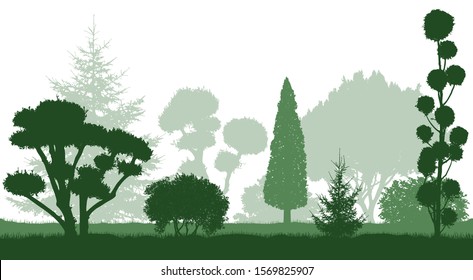 Decorative dwarf trees, garden conifers. Silhouettes. Vector illustration