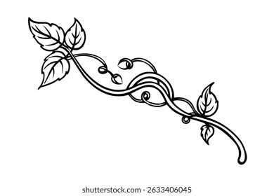 Ramo elegante decorativo com folhas e design floral brotando no fundo branco