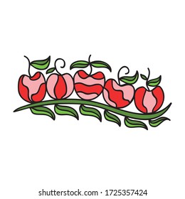 Elemento decorativo de manzanas. Ilustración del vector
