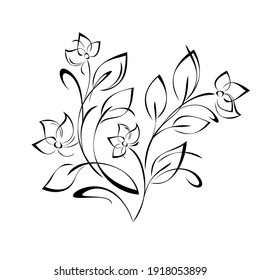 decorative element with blooming flowers on stems with leaves and curls in black lines on a white background