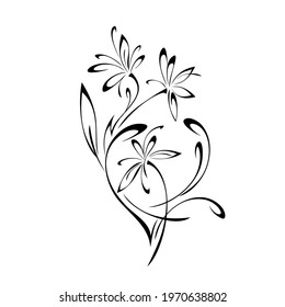 decorative element with blooming flowers on stems with leaves and curls in black lines on a white background