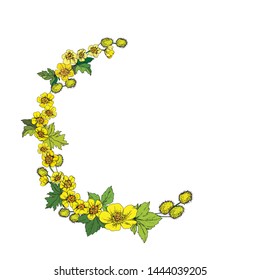 Decorative element of buttercup flowers in the form of a garland, hand-drawn on paper, for your design and project.
