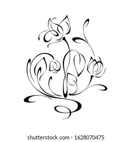decorative element with flower buds on stems with leaves and curls in black lines on a white background