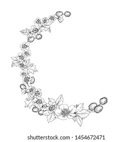 Decorative element of flowers, leaves, buttercup seeds, in the form of a garland, hand-drawn on paper, for your design and project.