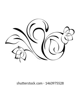 decorative element with flowers, leaves and curls in black lines on a white background