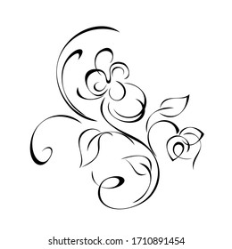 decorative element with flowers, leaves and curls in black lines on a white background