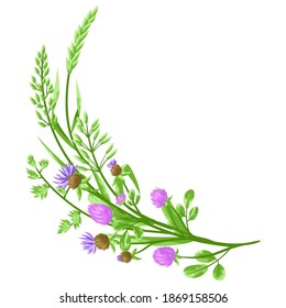 Decorative element with herbs and cereal grass. Floral design of meadow plants.