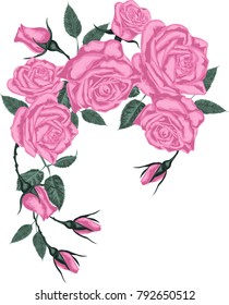 Decorative element with pink  roses