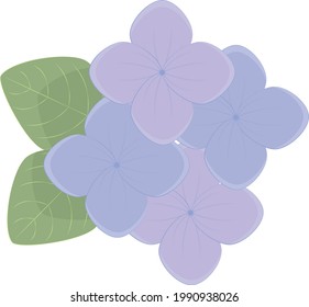 decorative element purple hydrangea flower