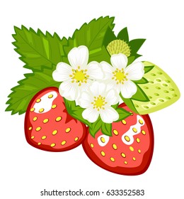 Decorative element with red and green strawberries. Illustration of berries and leaves.
