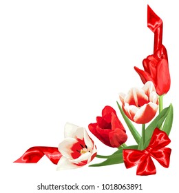 Decorative element with red and white tulips. Beautiful realistic flowers, buds and leaves.