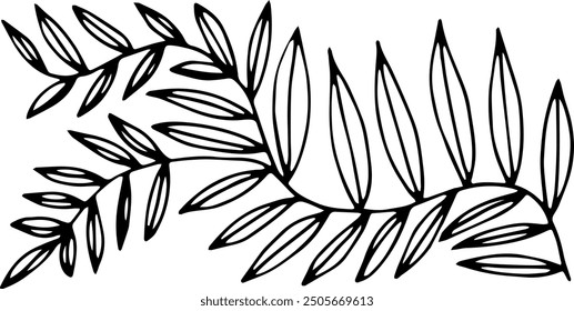 Decorative element sprig with leaves. Vector illustration. Hand drawing.