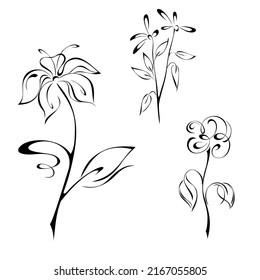 decorative element with stylized blooming flowers on stems with leaves and swirls. graphic decor, SET